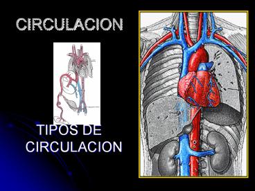 CIRCULACION