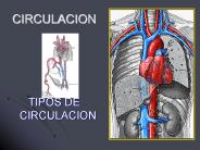 CIRCULACION