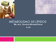 Metabolismo de l