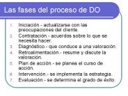 Las fases del proceso de DO