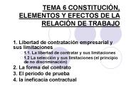 TEMA 6 CONSTITUCI