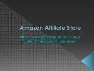 Amazon Affiliate Store