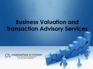 Business Valuation and Transaction Advisory Services