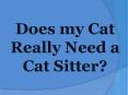 Does my Cat Really Need a Cat Sitter? PowerPoint PPT Presentation