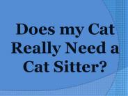 Does my Cat Really Need a Cat Sitter?