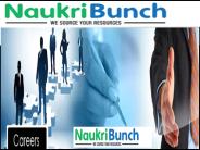NaukriBunch | Job Openings Chandigarh, Mohali, Panchkula