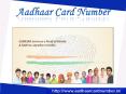 Aadharcard Number PowerPoint PPT Presentation