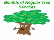 Save Tree