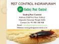Pest control Indirapuram call @ 9811381458