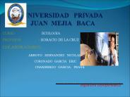 UNIVERSIDAD  PRIVADA  JUAN MEJIA  BACA