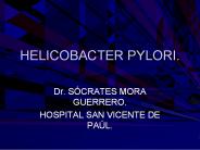 HELICOBACTER PYLORI.