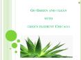 Go Green With Eco Friendly Products - Green Cleaners PowerPoint PPT Presentation