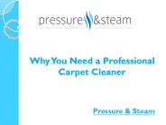Why You Need a Professional Carpet Cleaner