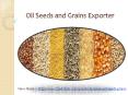 Oil Seeds and Grains Exporter PowerPoint PPT Presentation