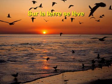 Sur la terre se l