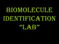 Biomolecule Identification  PowerPoint PPT Presentation