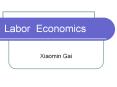 Labor Economics PowerPoint PPT Presentation