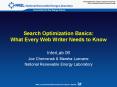 Search Optimization Basics: What Every Web Writer Needs to Know PowerPoint PPT Presentation