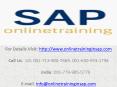 SAP MM Online Training and Placement - Online Training in SAP PowerPoint PPT Presentation