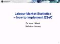 Labour Market Statistics  PowerPoint PPT Presentation