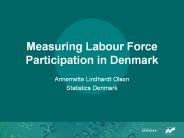 Measuring Labour Force Participation in Denmark