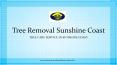 Tree Removal Sunshine Coast PowerPoint PPT Presentation