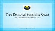 Tree Removal Sunshine Coast