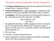 The basic neoclassical model: Labour demand (1)