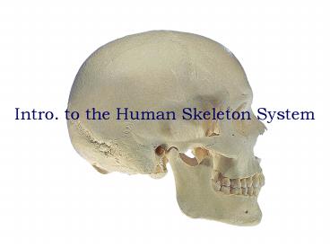 Anatomy and Physiology