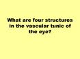 What are four structures in the vascular tunic of the eye? PowerPoint PPT Presentation