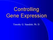 Controlling Gene Expression