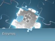 Enzymes