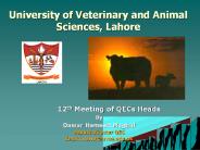 University of Veterinary and Animal Sciences, Lahore