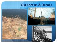 Our Forests
