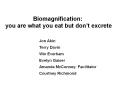 Biomagnification: PowerPoint PPT Presentation