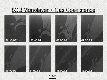8CB Monolayer   Gas Coexistence