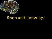 Brain%20and%20Language