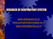 DISEASES%20OF%20RESPIRATORY%20SYSTEM