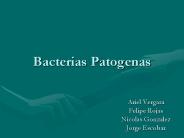 Bacterias Patogenas