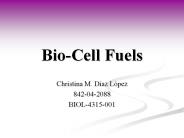 Bio-Cell Fuels