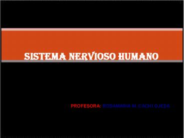 SISTEMA NERVIOSO HUMANO