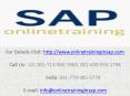 SAP WM (Warehouse Management) Online Training and Placement - Online Training in SAP PowerPoint PPT Presentation