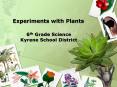 Experiments with Plants PowerPoint PPT Presentation