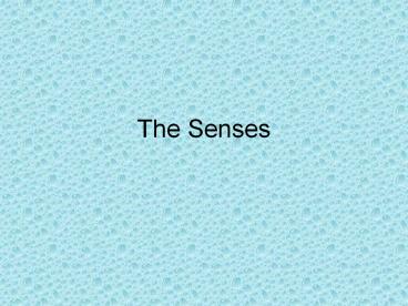 The Senses
