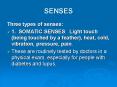 SENSES PowerPoint PPT Presentation