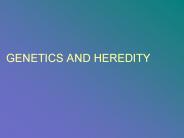 GENETICS AND HEREDITY