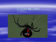 VIUDA NEGRA