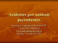 Acidentes por animais pe PowerPoint PPT Presentation