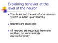 Explaining behavior at the level of the neuron PowerPoint PPT Presentation
