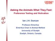 Asking the Animals What They Feel: